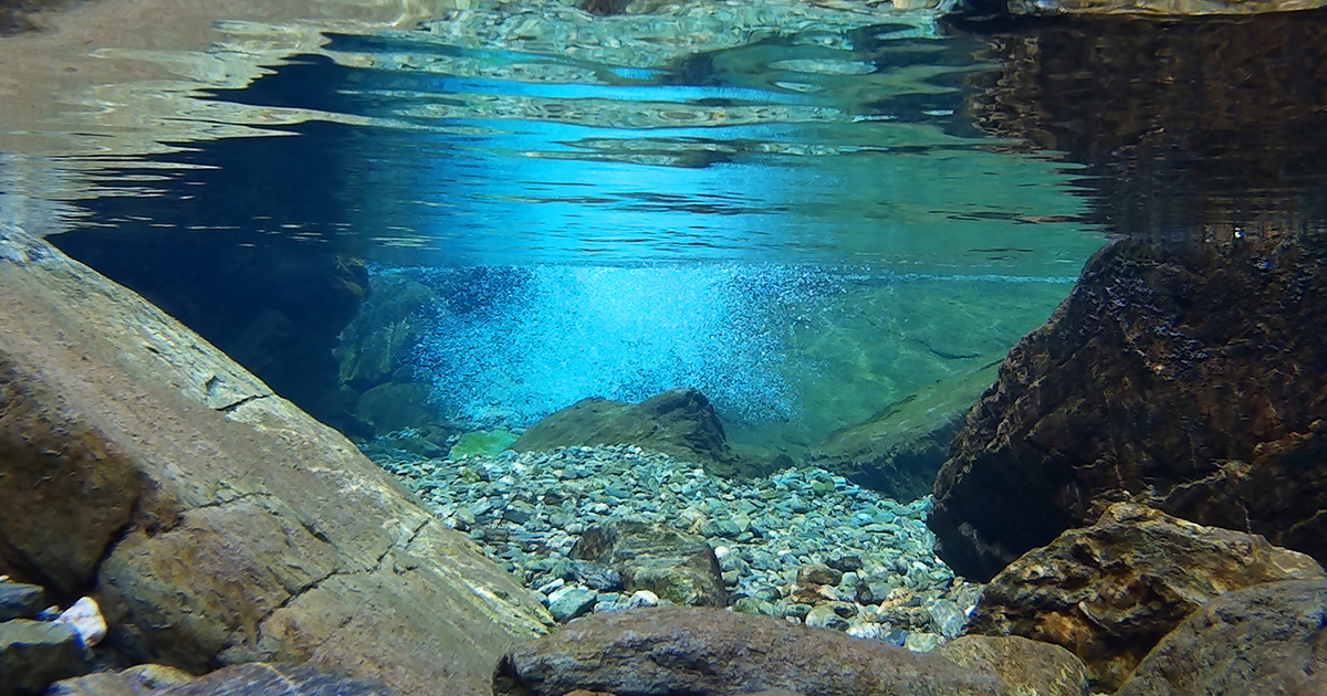 [KOCHI]The mystical “Niyodo blue” miracle river, Niyodogawa | Next Trip ...