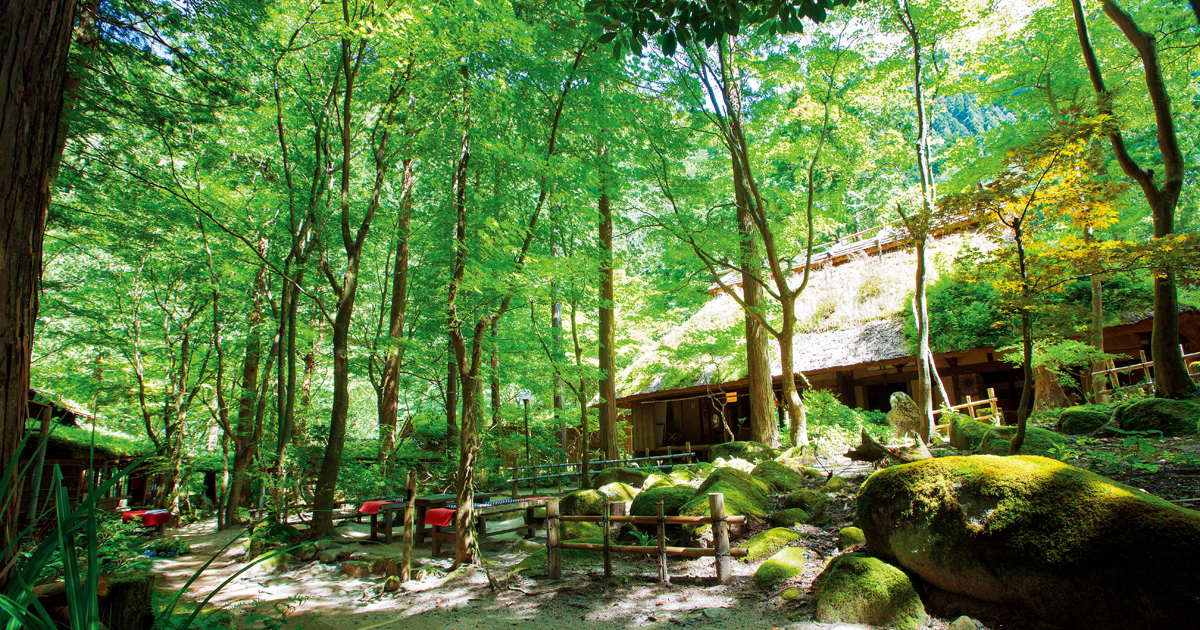 鳥取 自古不變的深山生活和原汁原味的田野美食 迎接身心放鬆的時刻 Mitaki園 みたき園 Next Trip West Japan Setouchi