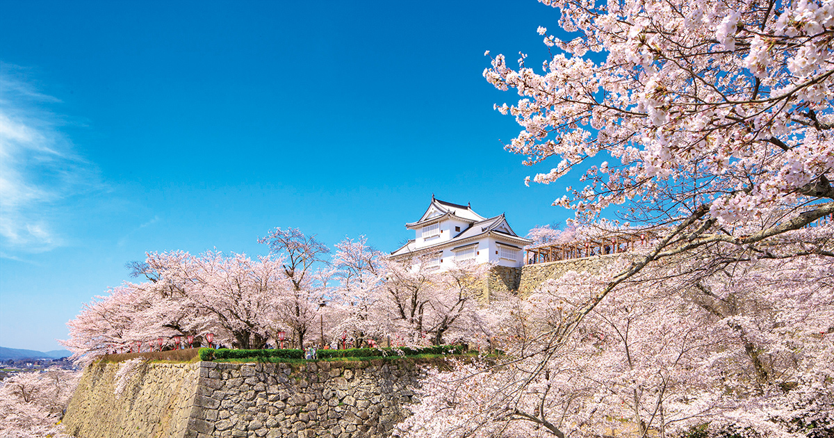 歴史情緒感じる、城に咲く桜（5選）。 | Next Trip -WEST JAPAN