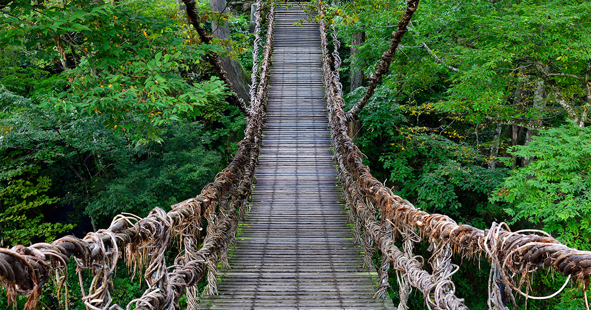 徳島]秘境の地・祖谷に佇む三大奇橋「かずら橋」へ。|祖谷のかずら橋