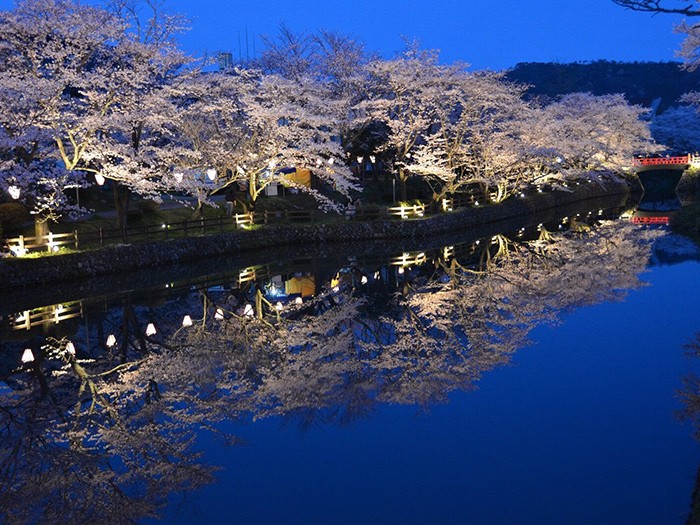 圧巻 水辺をピンク色に彩る桜並木 3選 Next Trip West Japan Setouchi