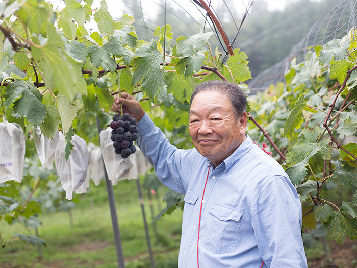 Fruit Country Kumano