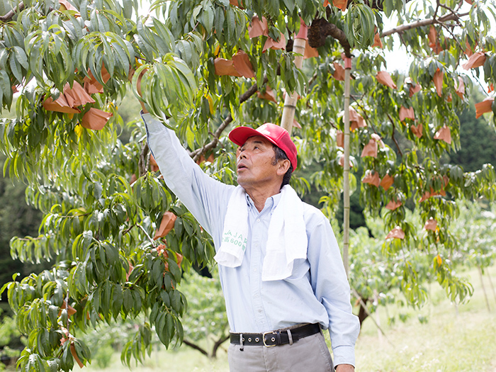 Ohara Kanko Orchard