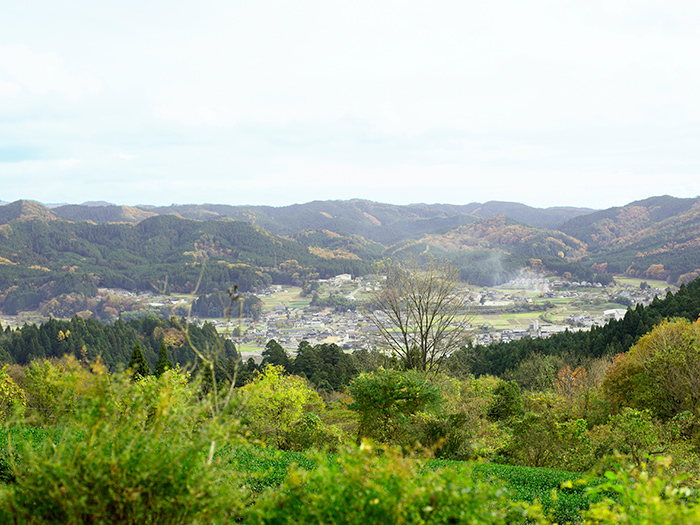 紅茶専門店　Early Morning