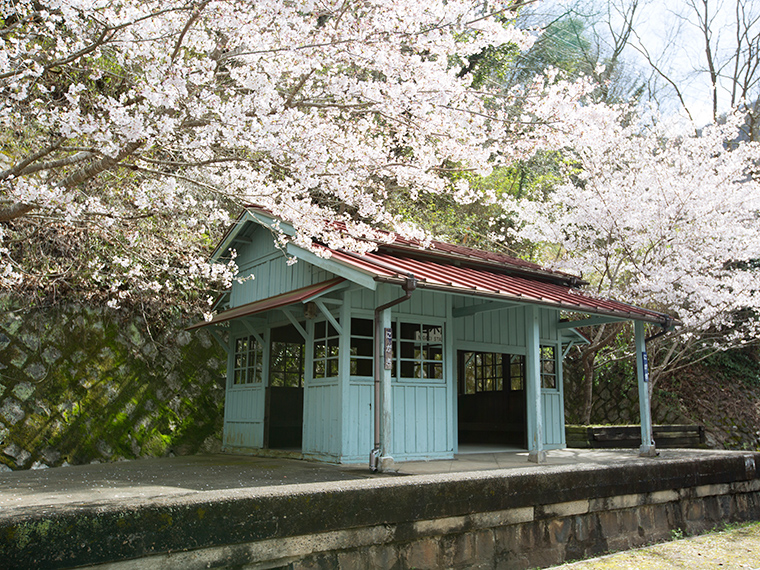 Katatetsu Roman Kaido