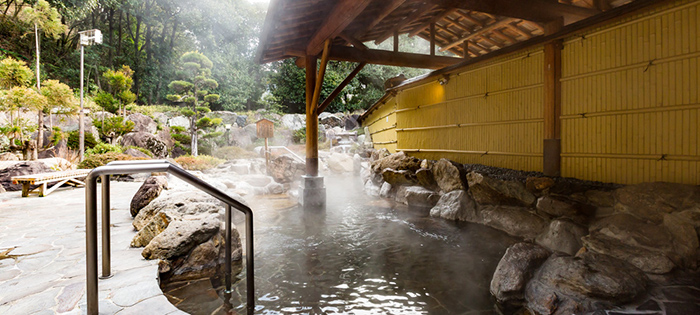 Wake Ugaidani Onsen