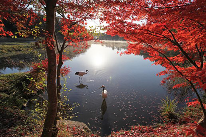 Wake Ugaidani Onsen