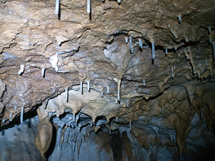 The entrance is a narrow hole. Turn around and slowly enter the cave.
