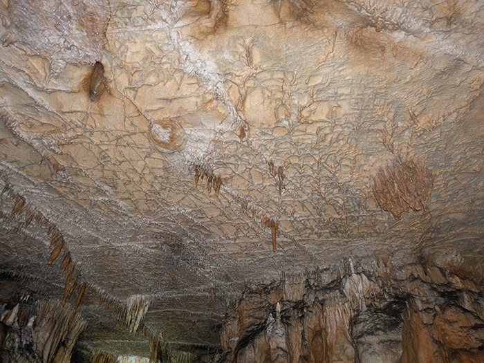 The entrance is a narrow hole. Turn around and slowly enter the cave.