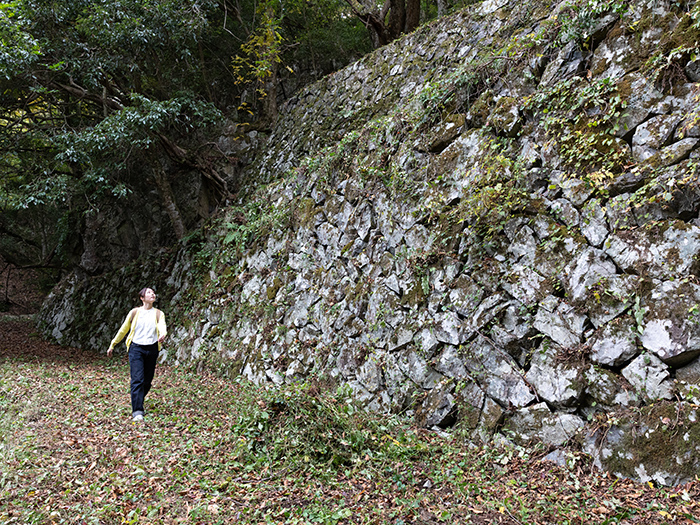 Naru Falls, Nanamagari