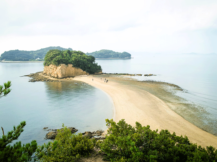 オリーブ島・小豆島への旅