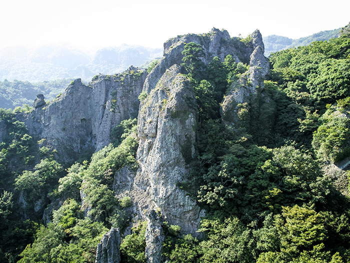 オリーブ島・小豆島への旅